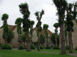 Christiansfeld med honningkagerne