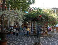markedet i funchal