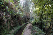 levada
